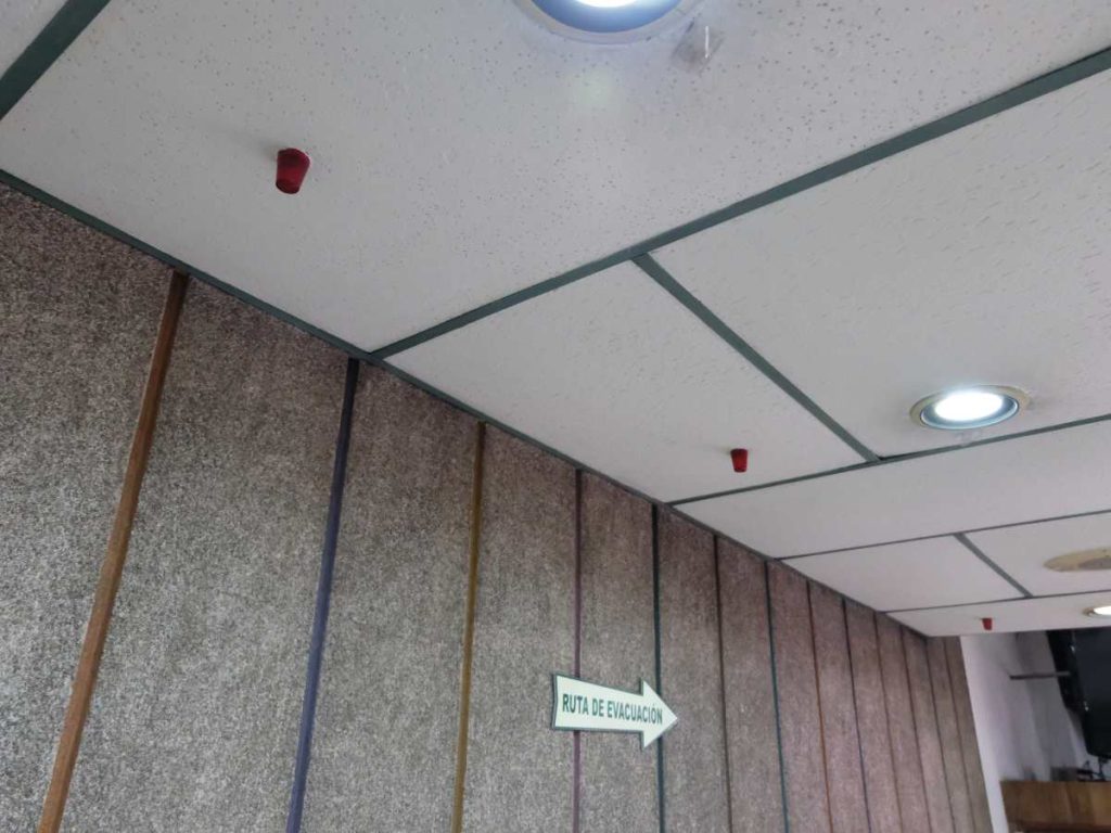 Mia Pizza Centro Historico