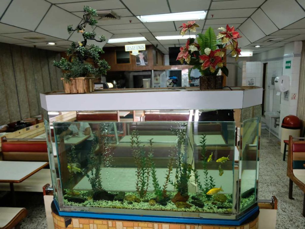 Mia Pizza Centro Historico