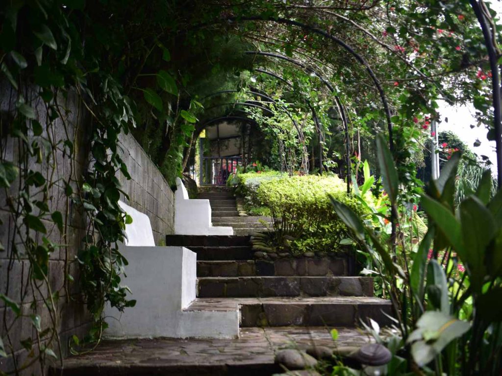Monte Berat combina naturaleza, diseño y gastronomía mediterránea en un ambiente lleno de luz y vegetación.