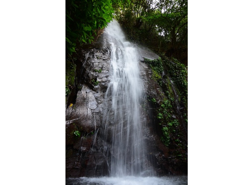 Este rincón de Ahuachapán ofrece una experiencia única de contacto con la naturaleza, a solo minutos de la carretera principal.