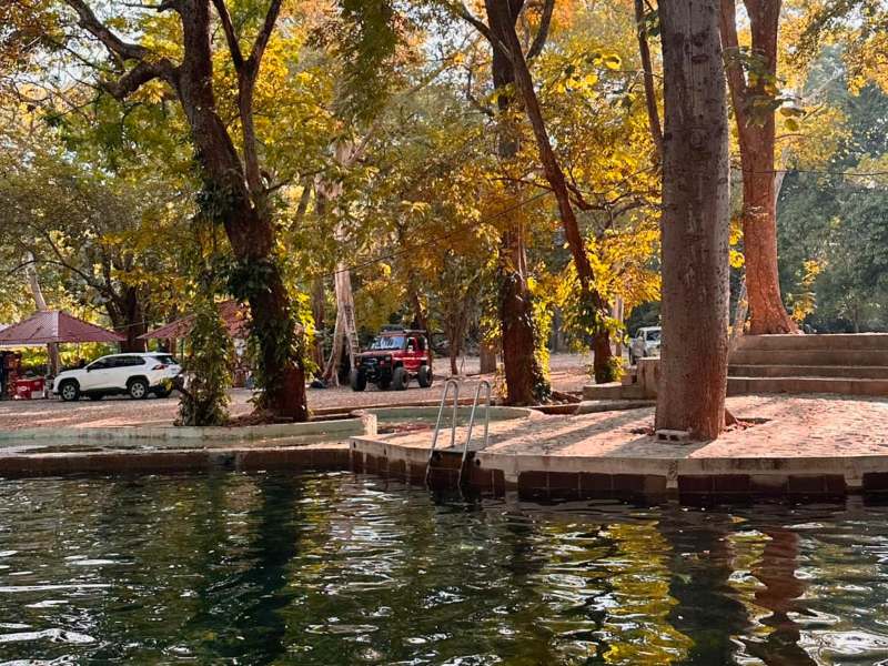 Aunque el espacio no es extenso, el entorno rodeado de árboles le da un ambiente acogedor.