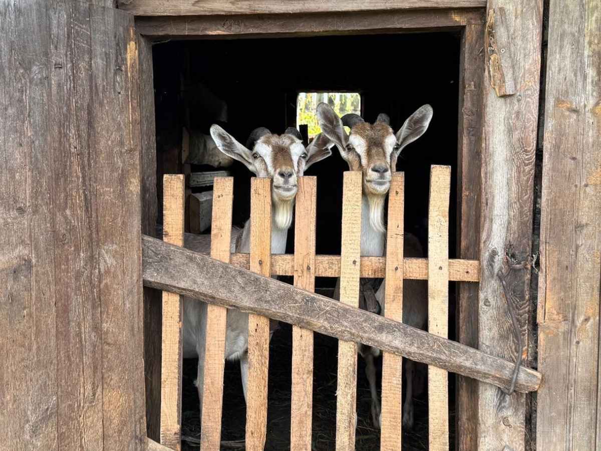 Estudiante en Rusia (1)