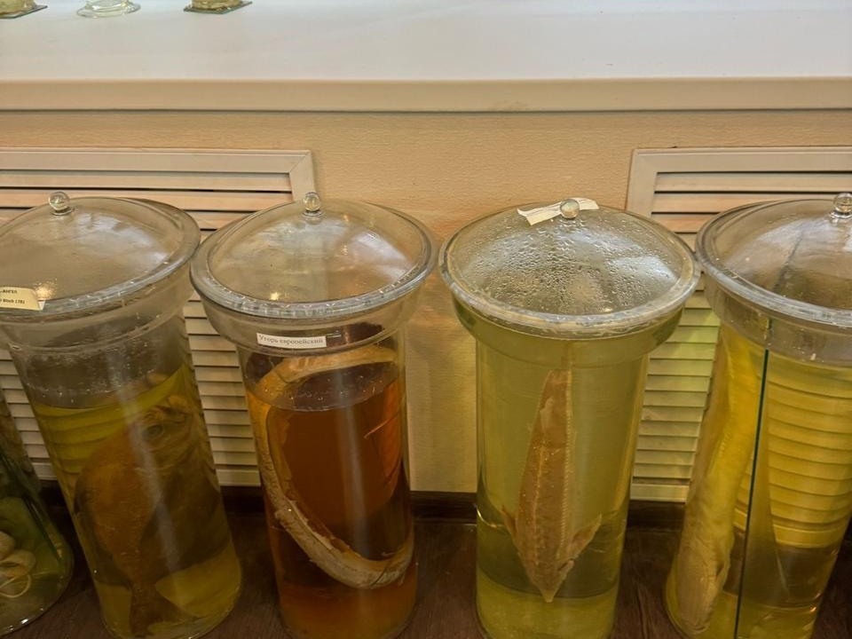 Estudiante en Rusia (10)