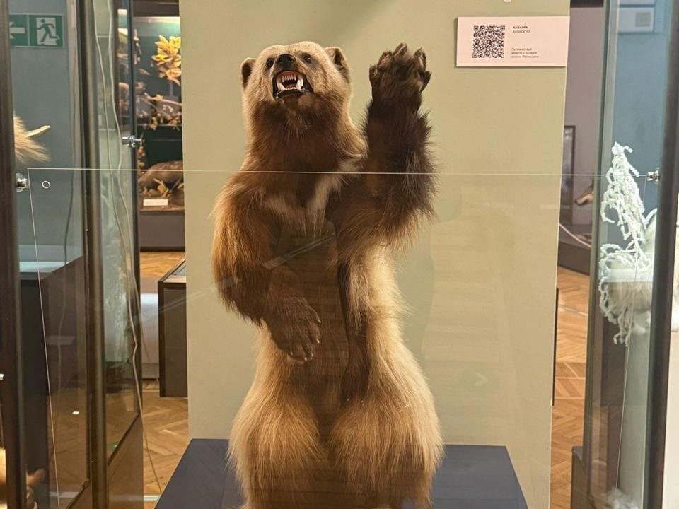 Estudiante en Rusia (3)