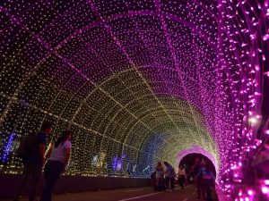 Villa navideña en El Cafetalon