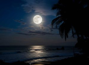 Así podrás ver la superluna de diciembre: fecha, hora y detalles