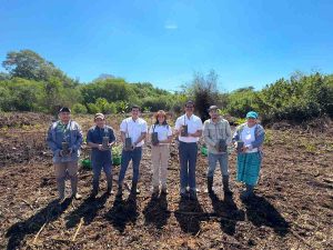 Colaboradores de Movistar El Salvador y líderes comunitarios restauran manglares en la Barra de Santiago como parte de su plan de compensación ambiental.