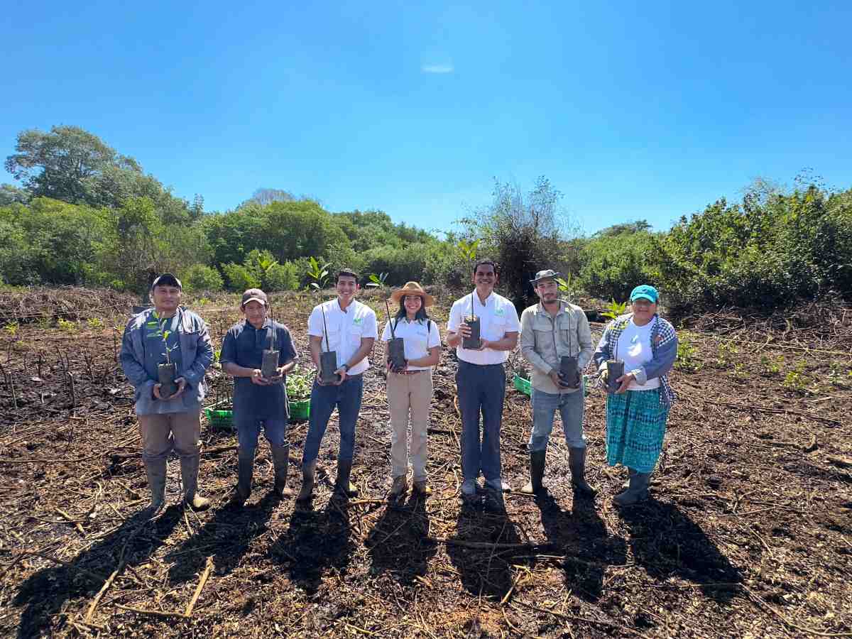 Colaboradores de Movistar El Salvador y líderes comunitarios restauran manglares en la Barra de Santiago como parte de su plan de compensación ambiental.