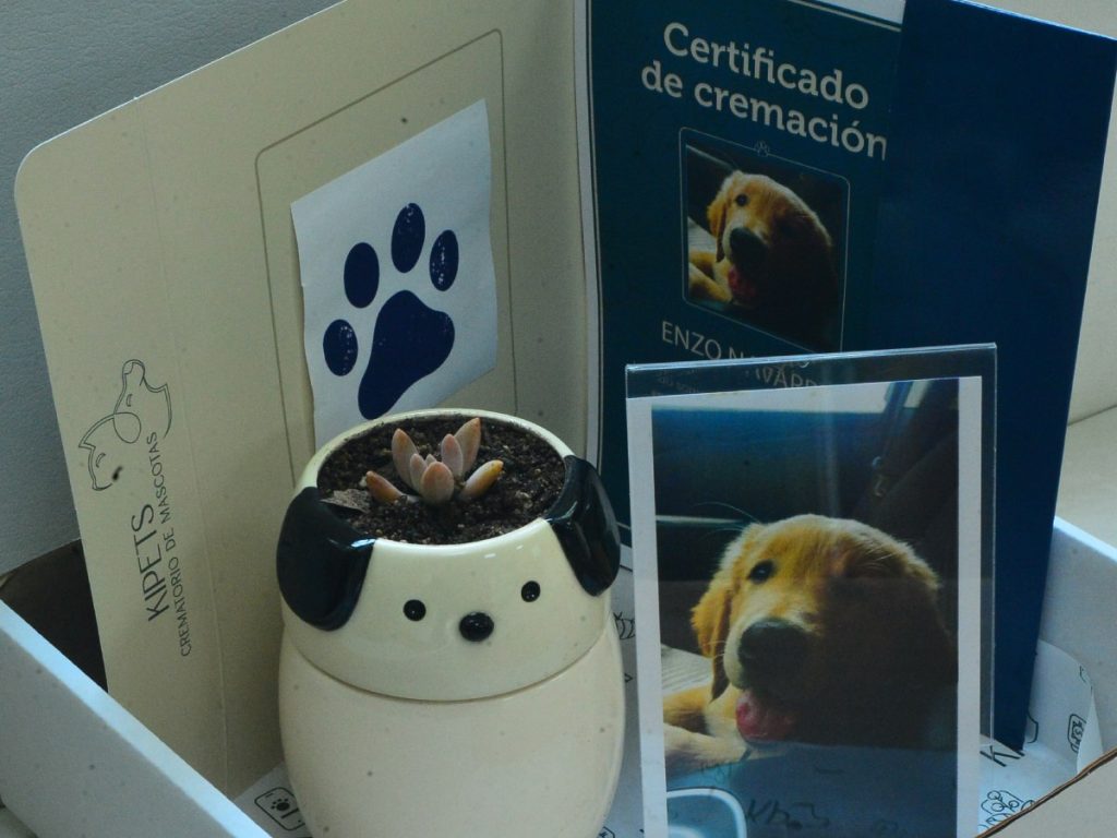 Las urnas personalizadas se han convertido en una forma simbólica de mantener presente a las mascotas que marcaron la vida de sus dueños. Fotografía/ elsalvador.com