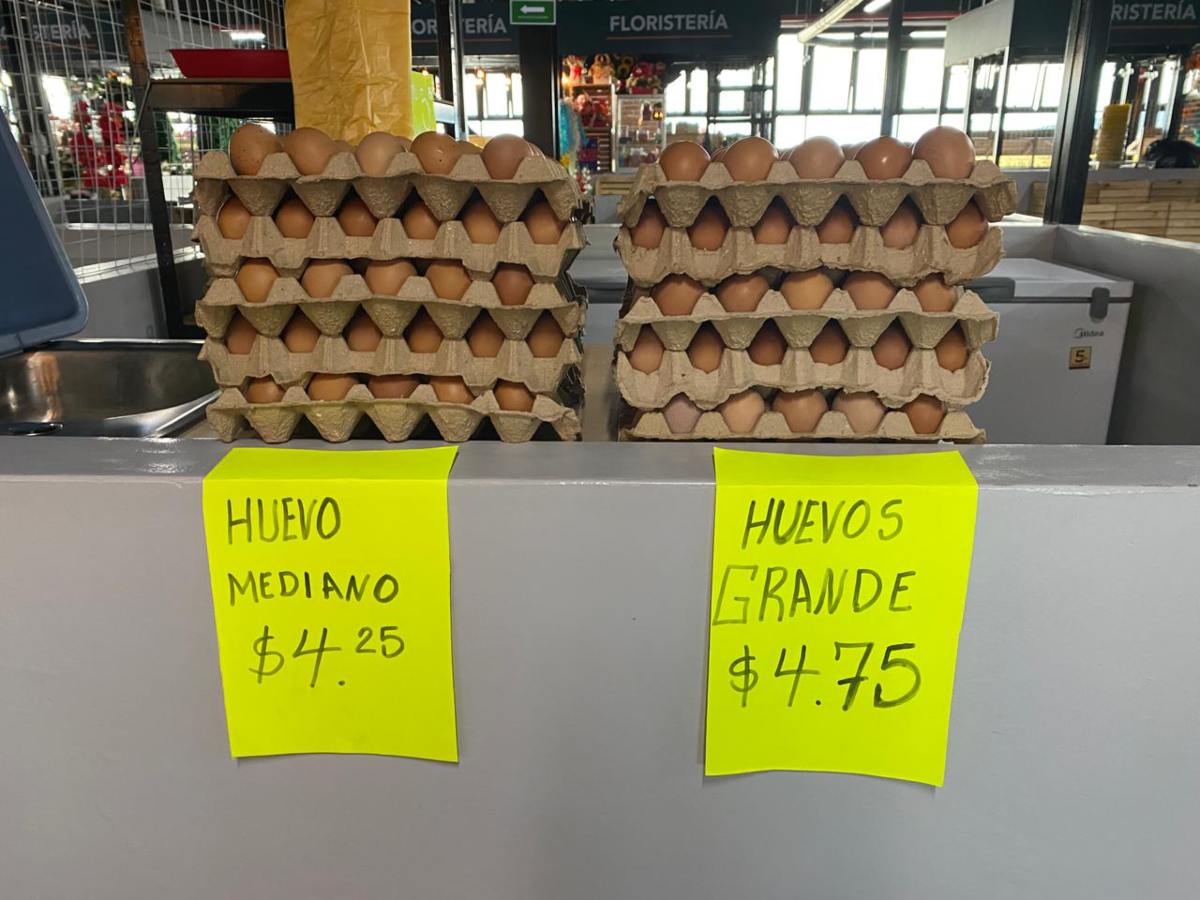 dinero-negocios-galeria-productos-mercado-san-miguelito01