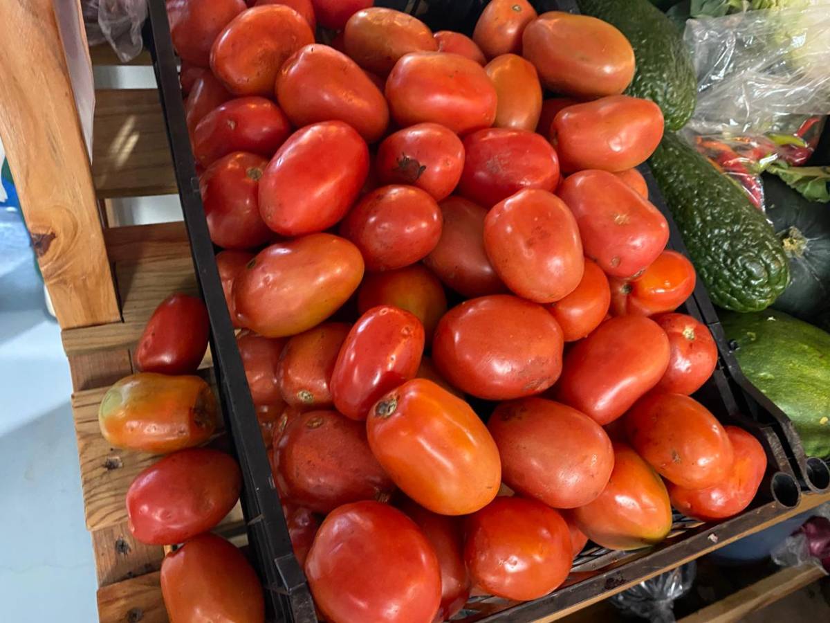 dinero-negocios-galeria-productos-mercado-san-miguelito04