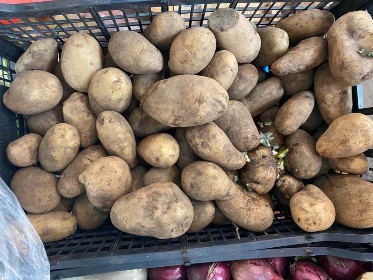 dinero-negocios-galeria-productos-mercado-san-miguelito06