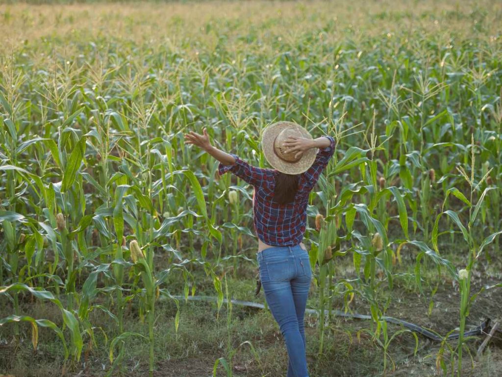 Delegación estadounidense y actores del sector privado analizan oportunidades para ampliar el intercambio de productos agrícolas en el mercado salvadoreño.