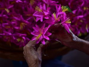 “Mamá Dorita” forja cultura artesanal con flores de papel