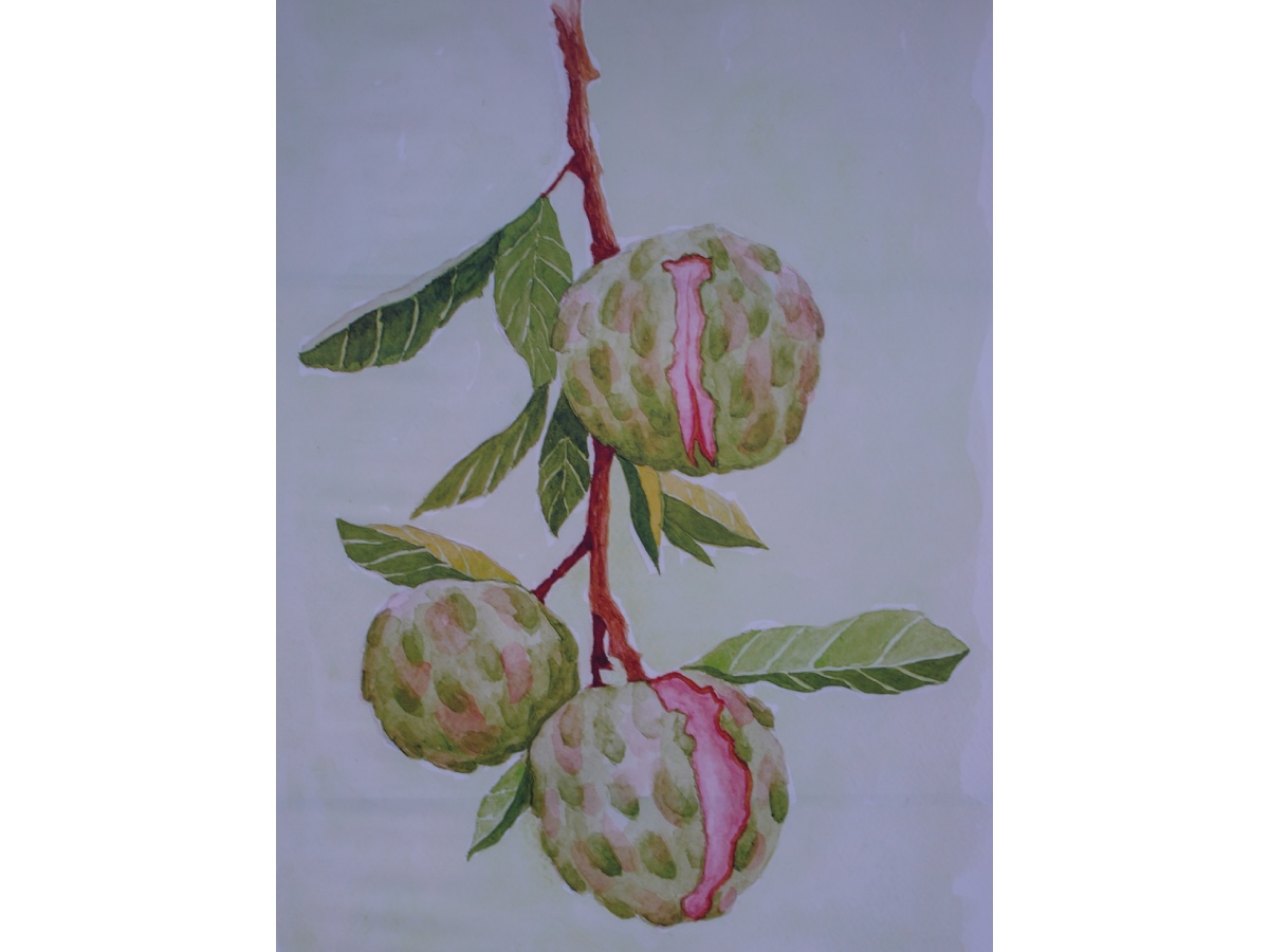 fotogaleria-davivienda-volarte-inspiraciones-del-alma-5