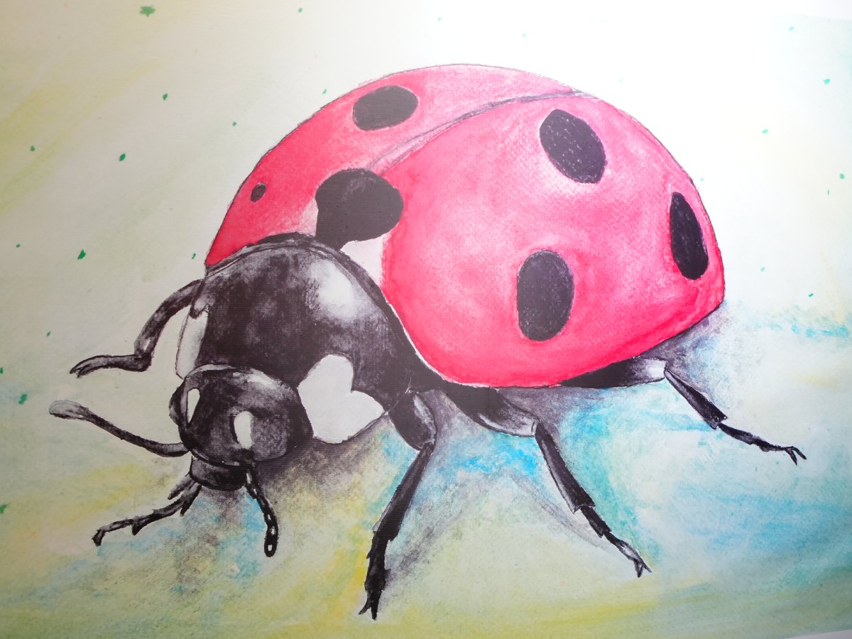 fotogaleria-davivienda-volarte-inspiraciones-del-alma-9