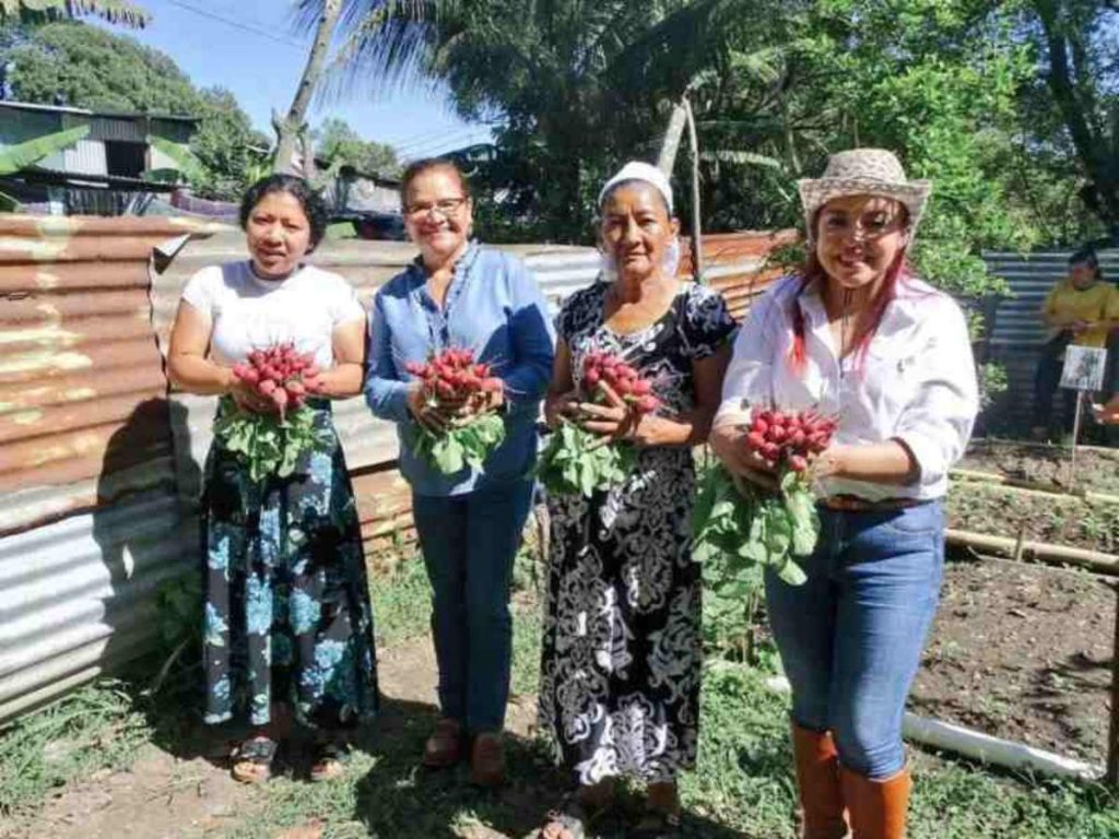 Las mujeres lideran la participación en los proyectos que buscan llevar alimento a las mesas de sus familias. | Foto EDH / Cortesía
