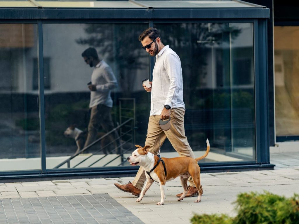 Los paseos con tu perro reducen la ansiedad, fortalecen rutinas saludables y aumentan tu bienestar físico y mental.