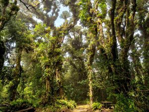 Cerro El Águila cerrado debido a daños estructurales por fuertes vientos