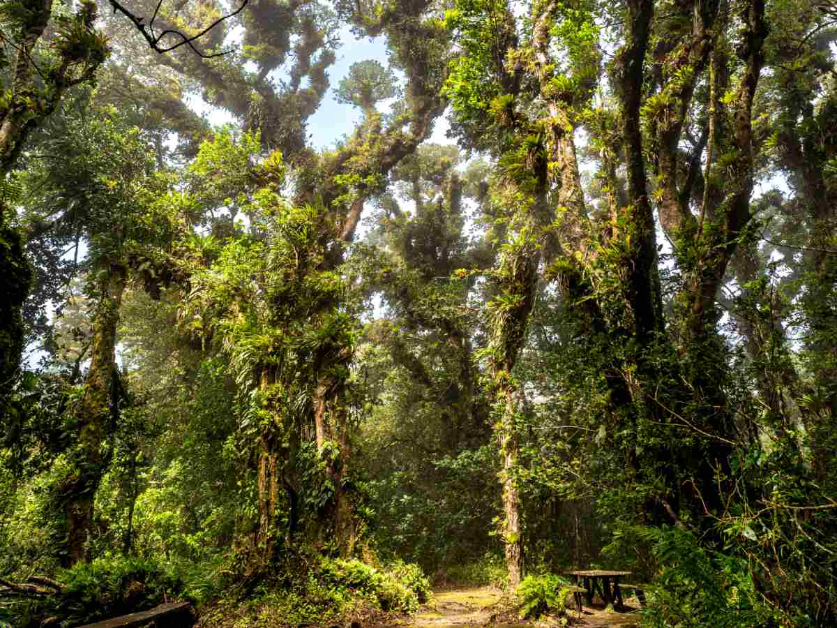 Cerro El Águila cerrado debido a daños estructurales por fuertes vientos