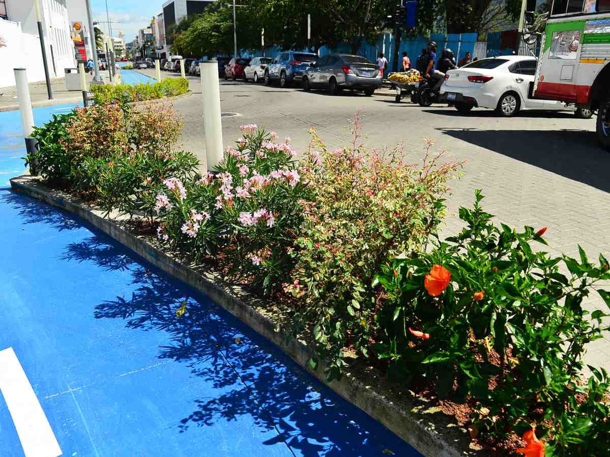 noticias-corredor-ruben-sario-centro-historico-san-salvador (6)