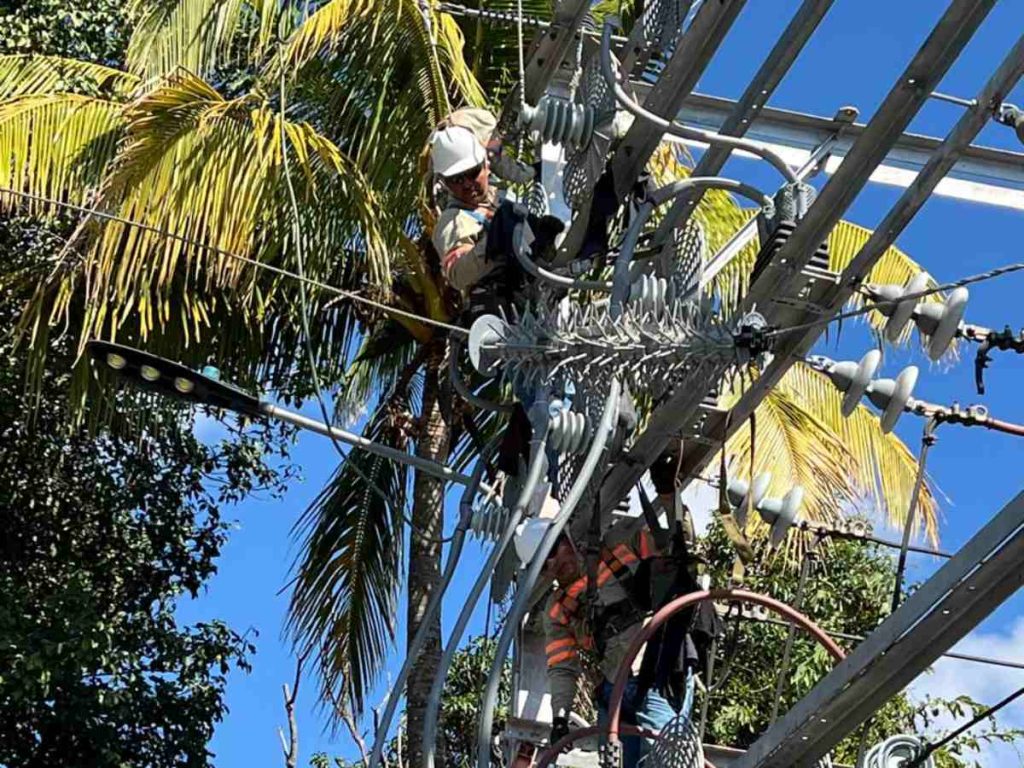 Técnicos de distribución eléctrica realizarán trabajos de mantenimiento preventivo este 11 de noviembre en distintos municipios del país.