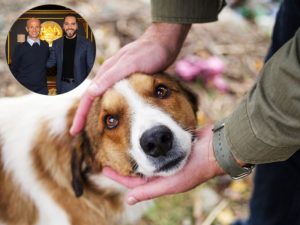 Posible plan para perros sin hogar toma forma: Niall Harbison se reunió con Bukele