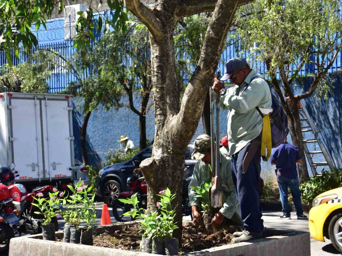 noticias-plaza-simon-bolivar (9)