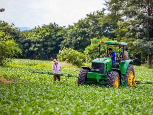 Más de 10,000 manzanas de maíz serán sembradas por el MAG para reforzar la producción del país