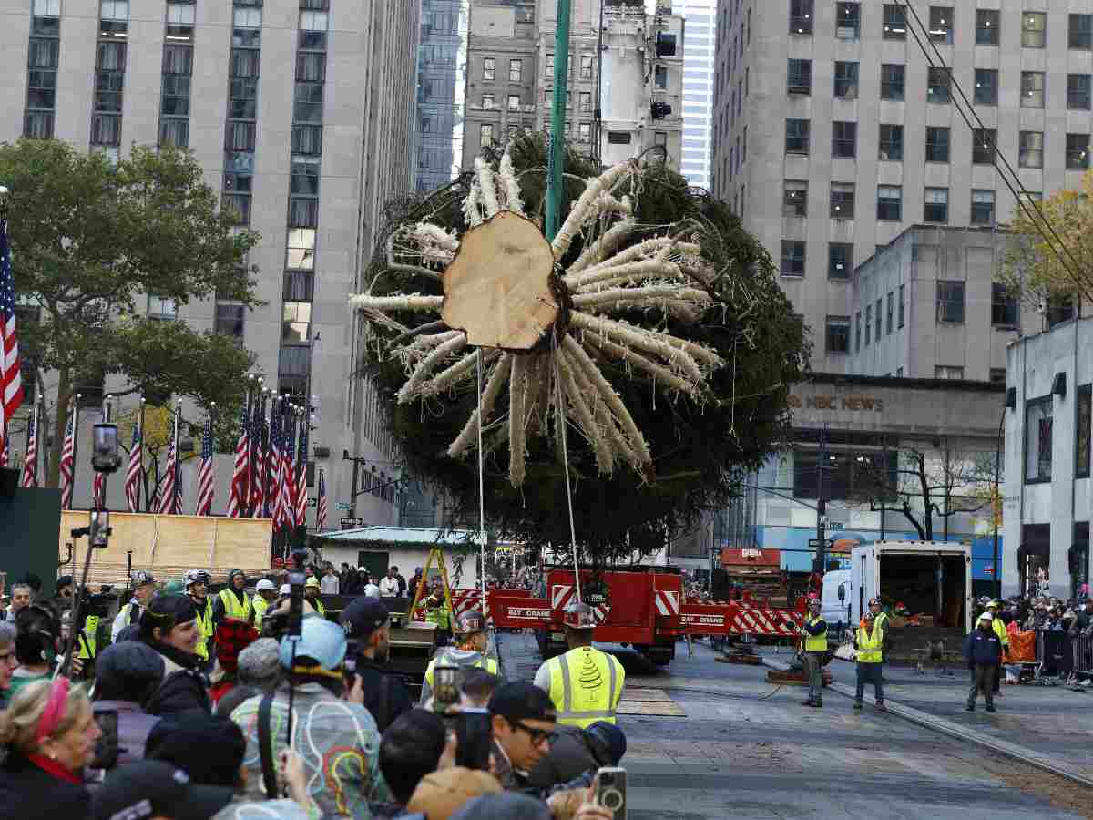 Rockefeller Center recibe al gigante Árbol de Navidad de 75 Pies