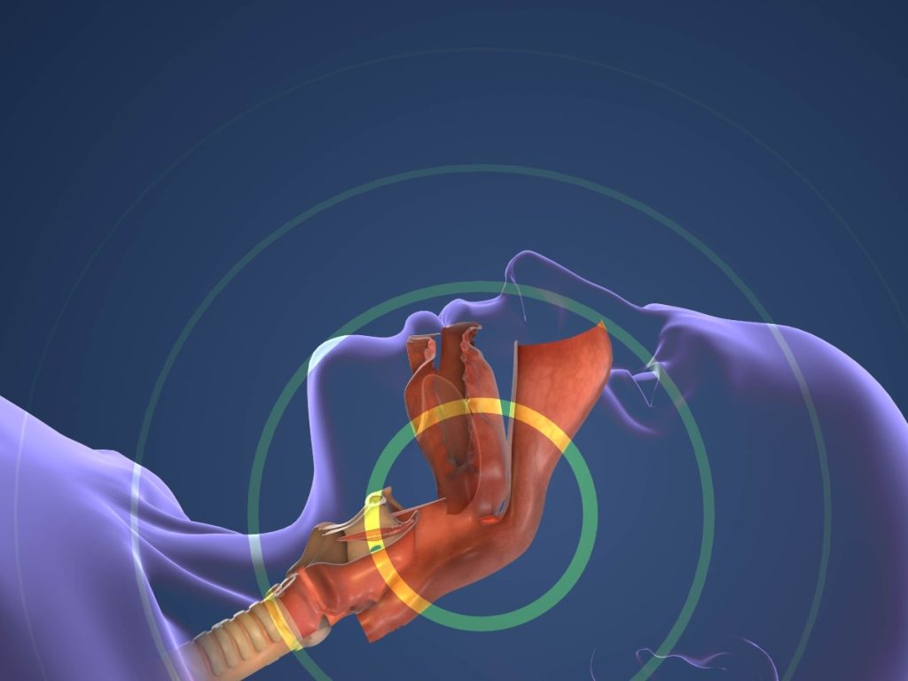 El ronquido puede deberse a obstrucciones nasales, sobrepeso, consumo de alcohol o apnea del sueño, y afecta directamente la calidad del descanso.