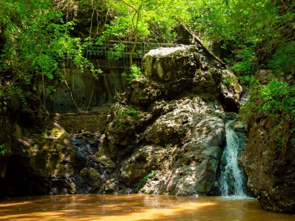 Parque Ecológico Bosque de Cinquera