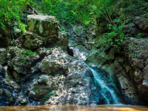 Parque Ecológico Bosque de Cinquera
