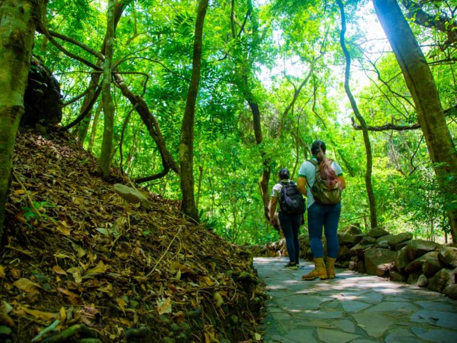 Parque Ecológico Bosque de Cinquera