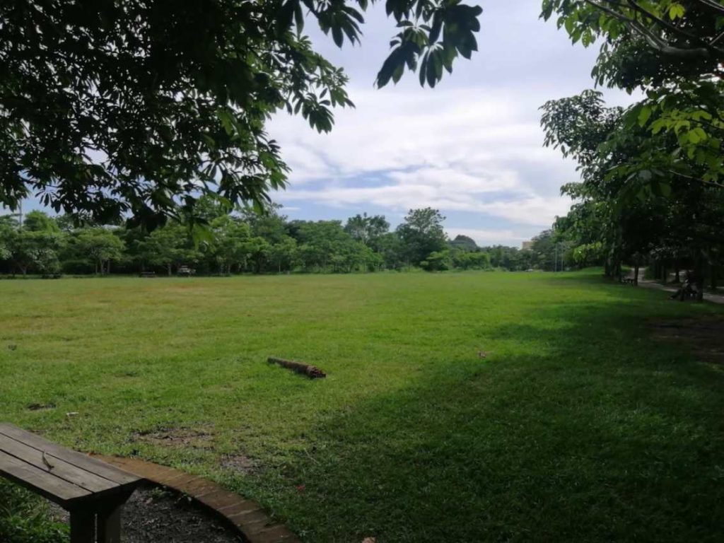 Piscuchas El Salvador