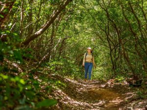 Parque Nacional El Imposible
