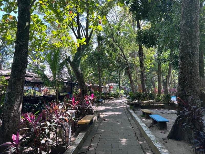 Disfrutá tu comida con vista al bosque, sin el bullicio de otros parques turísticos.