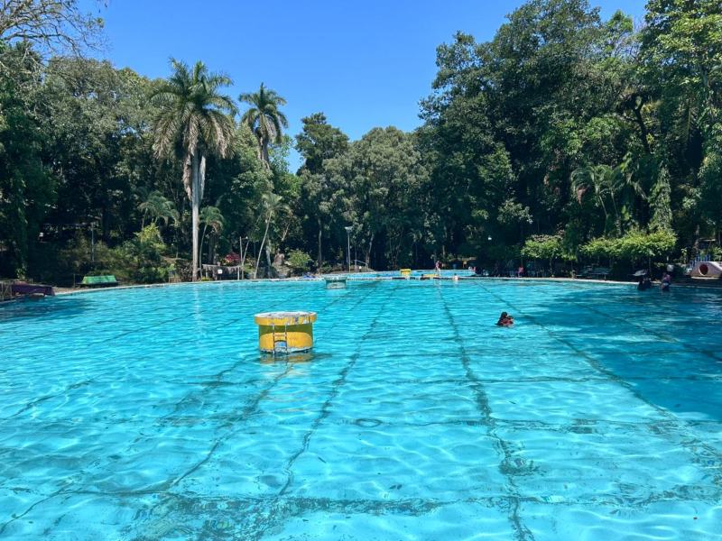 También hay opciones para quienes buscan pasar un día activo con amigos o familia.