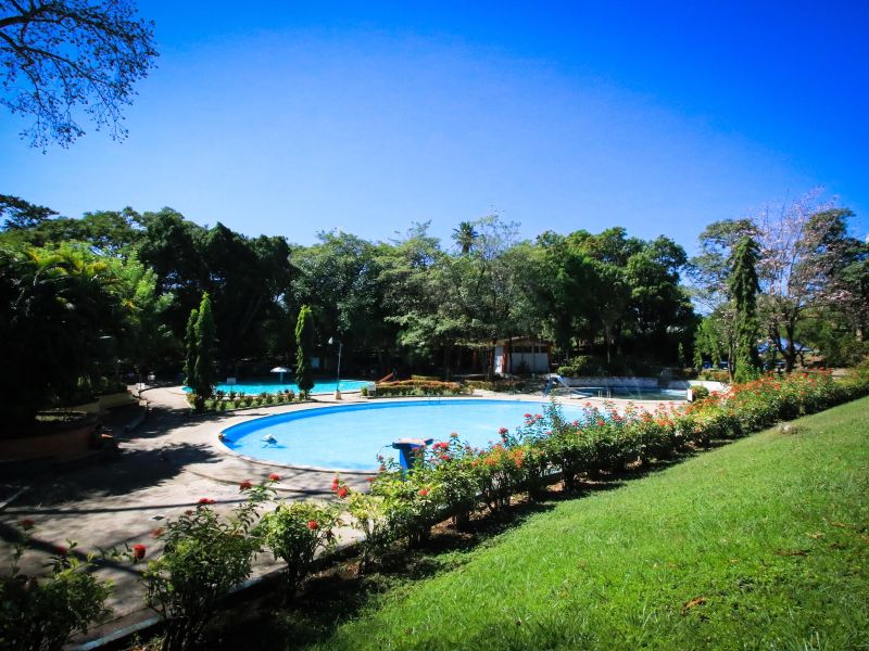 El parque cuenta con senderos rodeados de vegetación y zonas boscosas ideales para paseos cortos.