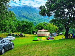 Área de camping entre pinos y niebla, ideal para una noche bajo las estrellas.