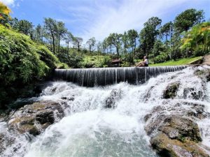 Descubrí Hacienda La Florecía: naturaleza y cultura en Morazán