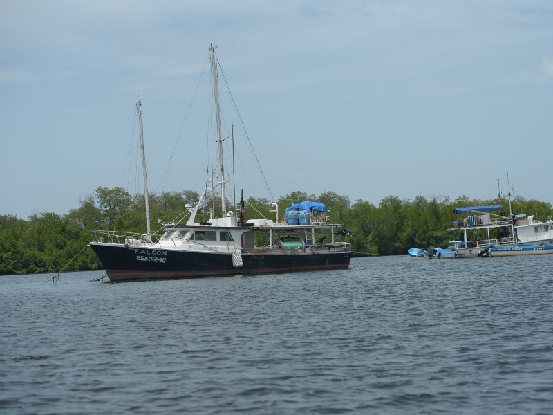 Explorar Jiquilisco es redescubrir El Salvador desde una mirada serena y natural.