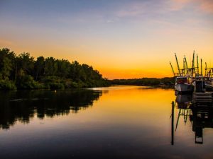 La Bahía de Jiquilisco ofrece un encuentro cercano con la naturaleza salvadoreña.