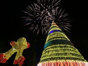 El Árbol San Martín en El Salvador del Mundo