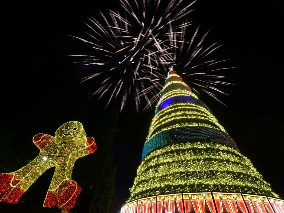 El Árbol San Martín en El Salvador del Mundo
