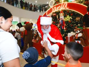 vision-empresarial-plaza-mundo-navidad (1)