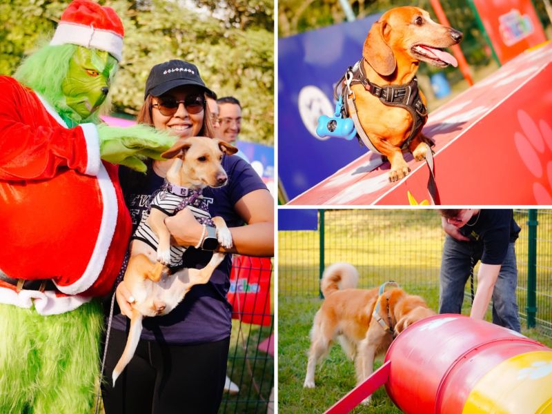 Peluditos de todas las edades disfrutaron del parque temático navideño habilitado en la planada del Parque Bicentenario. Fotografía/ Alcaldía de San Salvador