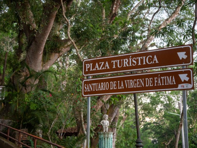Clima fresco, árboles centenarios y panorámicas únicas te esperan en Las Pavas.