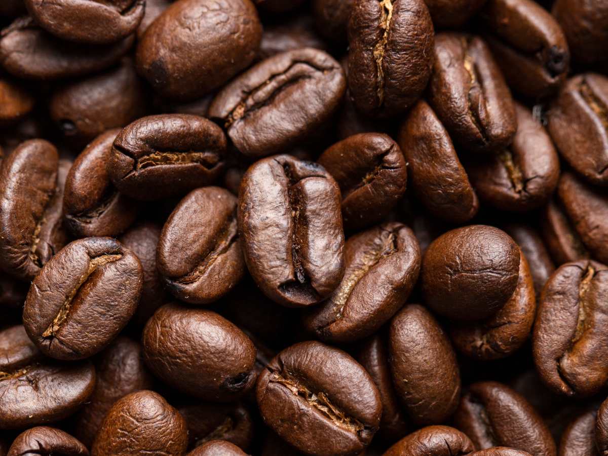 Productores salvadoreños preparan café de especialidad para exportación, una industria que genera empleo y valor agregado en zonas rurales del país.