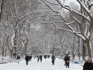 Personas caminan entre la nieve en Central Park, en la ciudad de Nueva York, el 27 de diciembre de 2025. Fotografía/ AFP